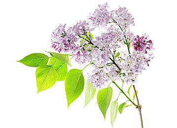 《Cryptmaster》登陆PC平台 全语音操控地下城探索